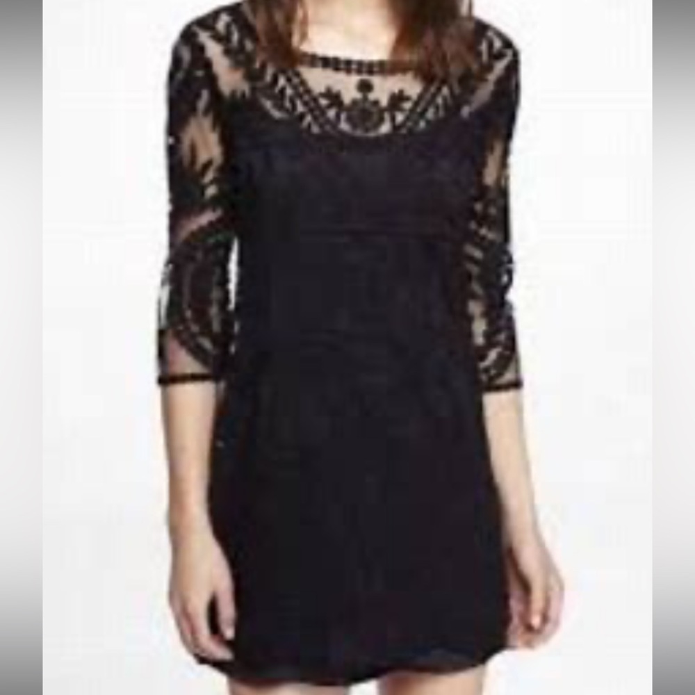 Express Black Lace Overlay Dress